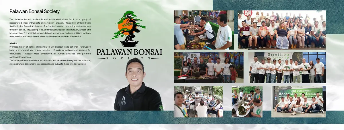Palawan bonsai club